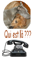 Qui est en ligne ?