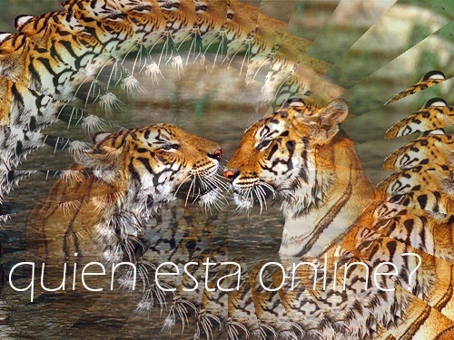 ¿Quién está en línea?