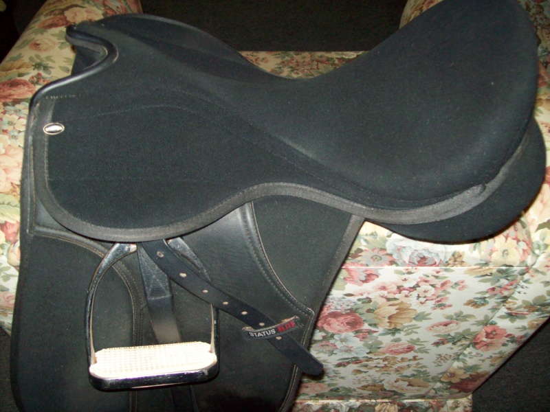 Status dressage 17.5 inch, good condition, $120. Kincade 30 inch girth, anti-gall, no elastic, excellent condition, $30. Both saddle & girth too big for my