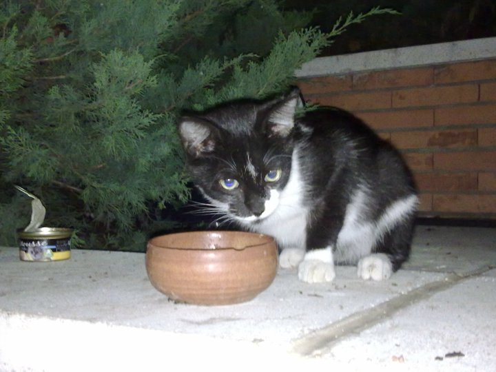 chiqui10.jpg