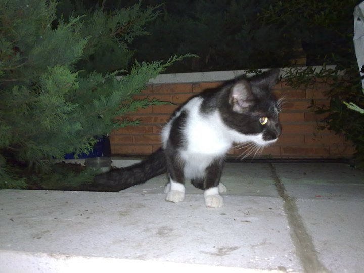 chiqui12.jpg