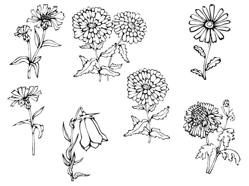 flower10.png