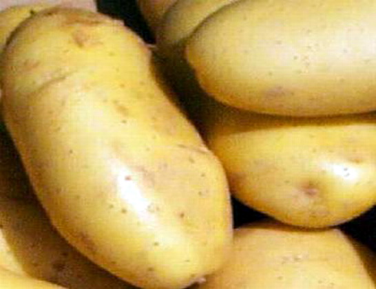 potato10.jpg